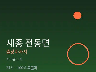 세종 세종시 전동면출장마사지