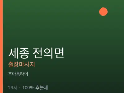 세종 세종시 전의면출장마사지