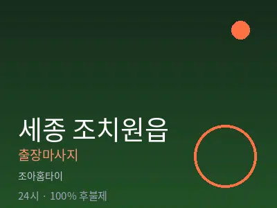 세종 세종시 조치원읍출장마사지