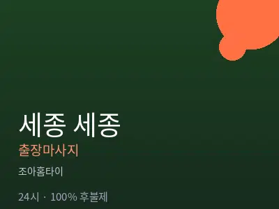 세종 세종출장마사지