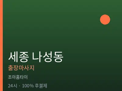 세종 세종시 나성동출장마사지