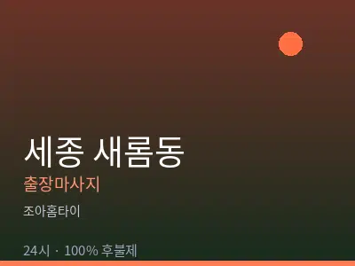 세종 세종시 새롬동출장마사지