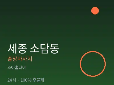 세종 세종시 소담동출장마사지