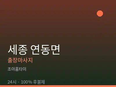 세종 세종시 연동면출장마사지