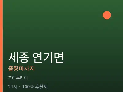 세종 세종시 연기면출장마사지