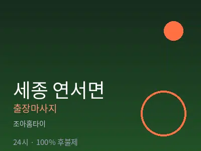 세종 세종시 연서면출장마사지