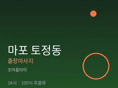 서울 마포구 토정동출장마사지