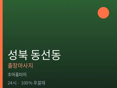 서울 성북구 동선동출장마사지