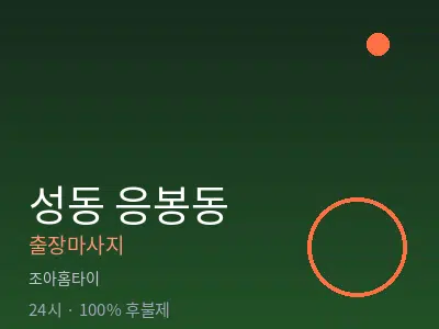 서울 성동구 응봉동출장마사지