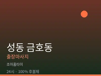 서울 성동구 금호동출장마사지