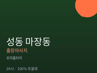 서울 성동구 마장동출장마사지