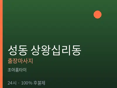 서울 성동구 상왕십리동출장마사지
